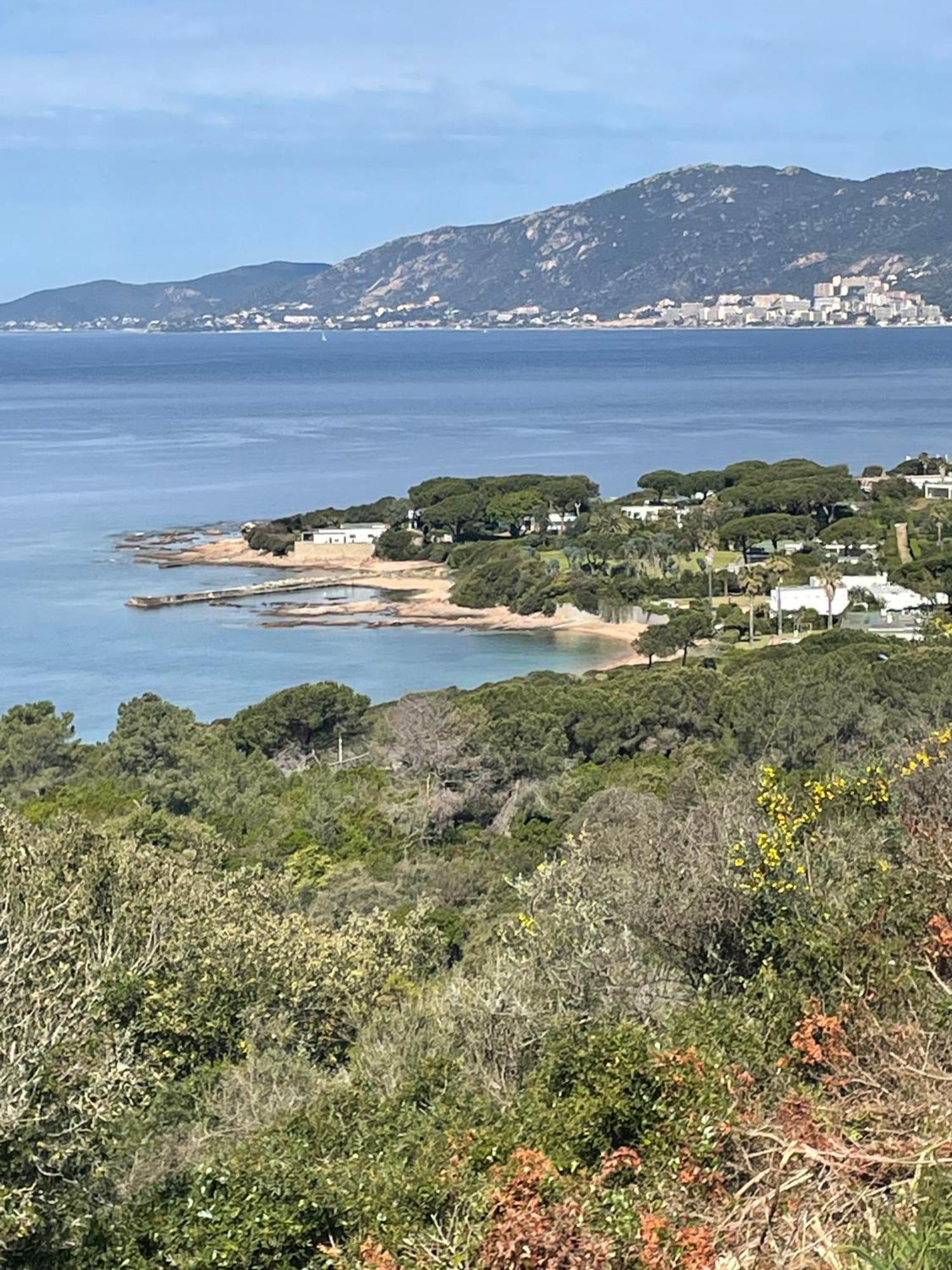 Villa De La Plage Grosseto-Prugna エクステリア 写真